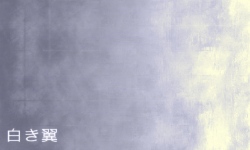 白き翼.png
