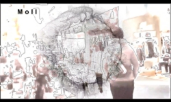 Moll.jpg