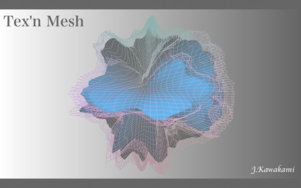 Tex'n Mesh.png